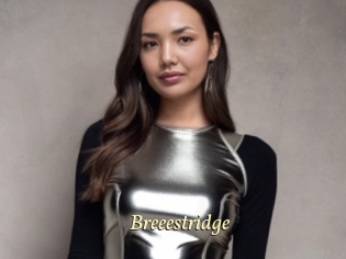 Breeestridge