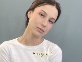 Breeganet