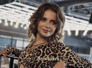 Breehakes