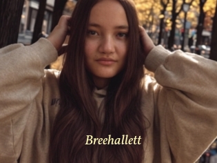 Breehallett