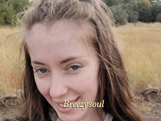 Breezysoul