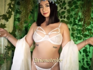 Brianateylor