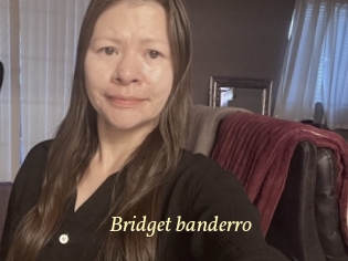 Bridget_banderro