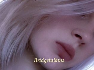 Bridgetalkins
