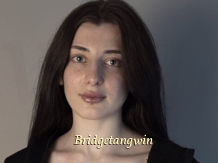 Bridgetangwin