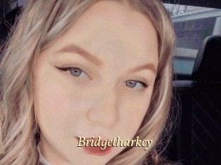 Bridgetharkey