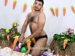 brunosains Vidéo porno gratuite