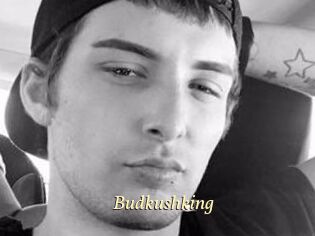 Budkushking
