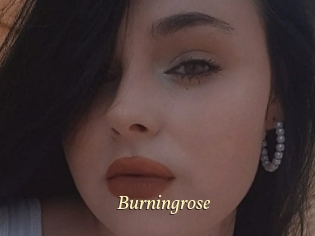 Burningrose