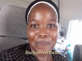 Bustyperverttatas