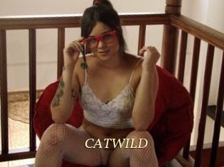 CATWILD
