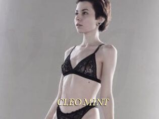 CLEO_MINT