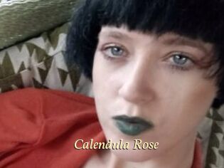 Calendula_Rose