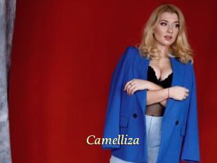 Camelliza