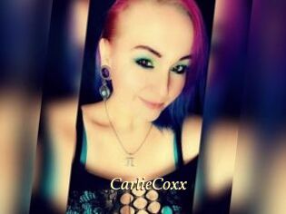 CarlieCoxx Vidéo porno gratuite