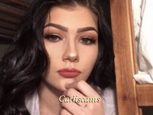 Carliscams