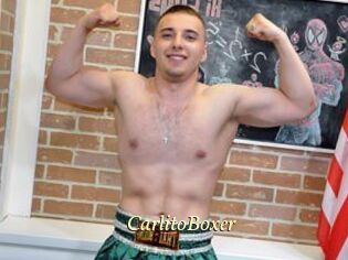 CarlitoBoxer