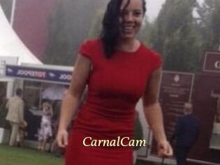 CarnalCam