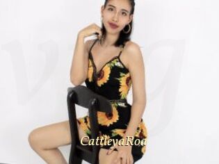 CattleyaRoa