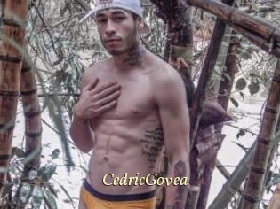 CedricGovea