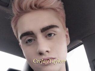 CeeJayTaylorr