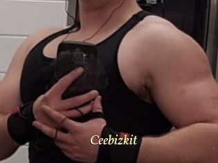 Ceebizkit