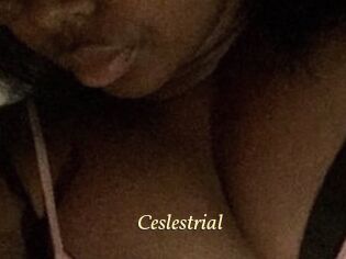 Ceslestrial