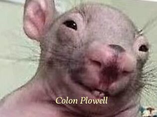 Colon_Plowell
