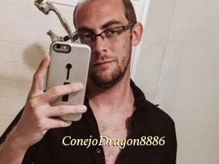 ConejoDragon8886