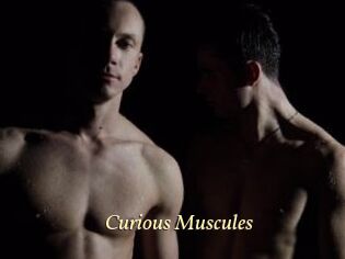 Curious_Muscules