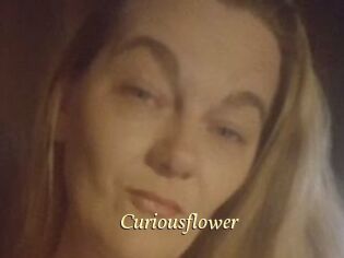 Curiousflower