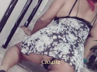 C104114