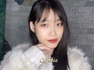 cafenia Vidéo porno gratuite