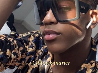 Callmekanaries
