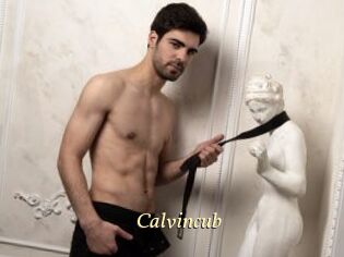 Calvincub