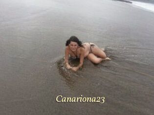 Canariona23