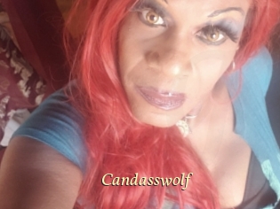 candasswolf Vidéo porno gratuite