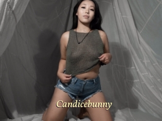 Candicebunny