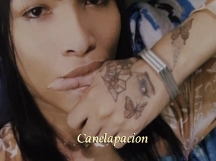 Canelapacion