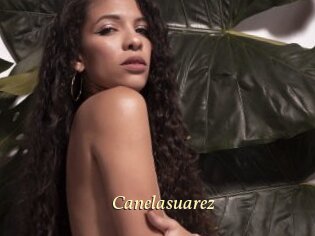 Canelasuarez