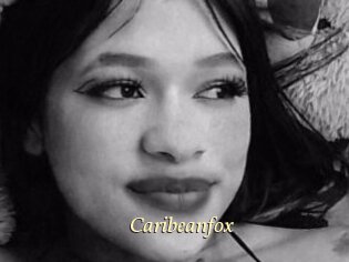 Caribeanfox