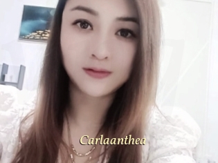 Carlaanthea