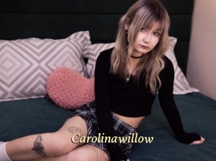 Carolinawillow