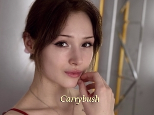 Carrybush