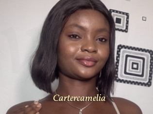 cartercamelia Vidéo porno gratuite