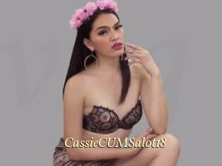 CassieCUMSalot18