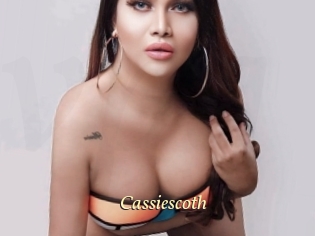 Cassiescoth