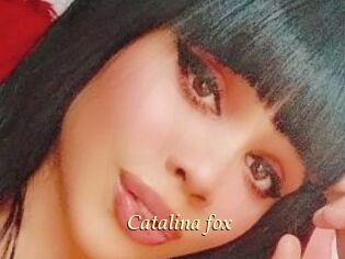 Catalina_fox