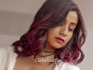 Catalinafox