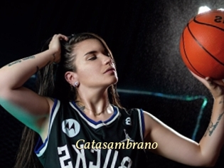 Catasambrano
